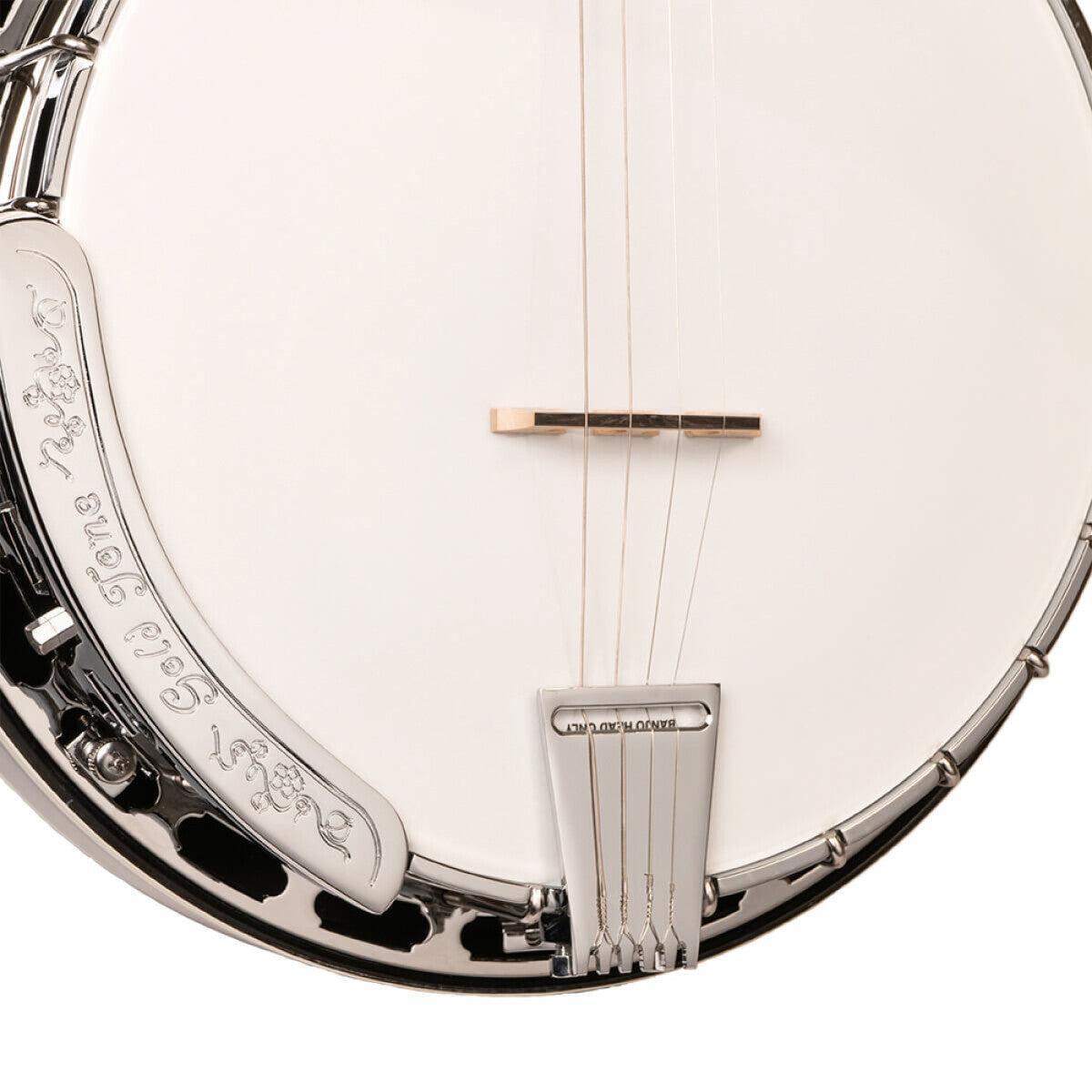 Gold Tone TS-250 – Tenor Special banjo