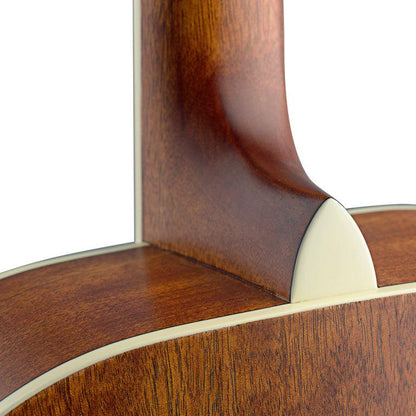 J.N Guitars ASY-ACE auditorium guitar m/massiv grand dæk og Pick-Up