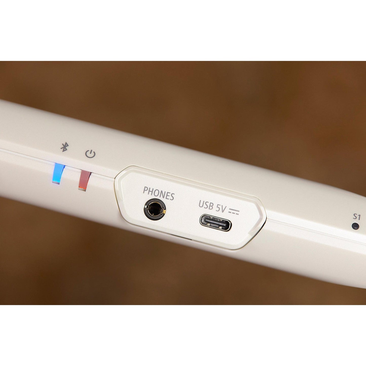 Roland Aerophone AE-Brisa