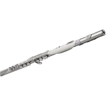 Roland Aerophone AE-Brisa