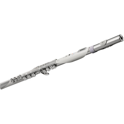 Roland Aerophone AE-Brisa