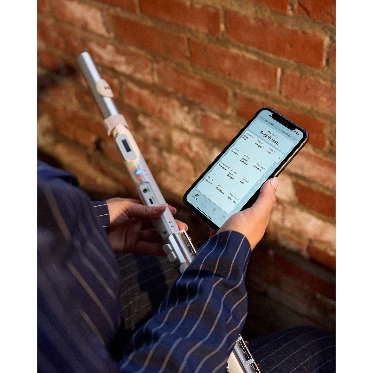 Roland Aerophone AE-Brisa