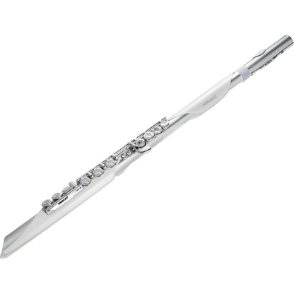 Roland Aerophone AE-Brisa