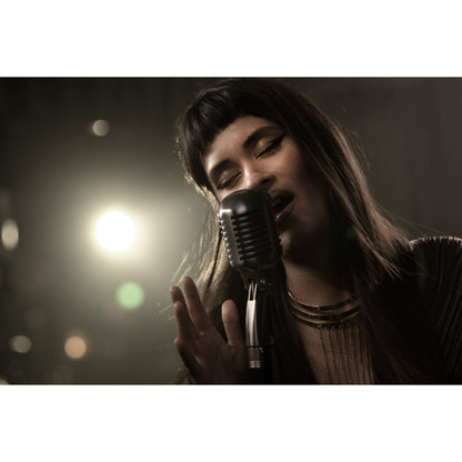 Shure 55SH-II Vocal Microphone