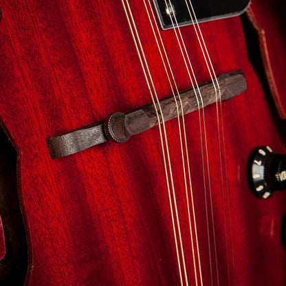Stagg M50 E – Elektro-akustisk mandolin (redburst)