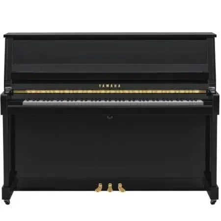 Yamaha B20 PE