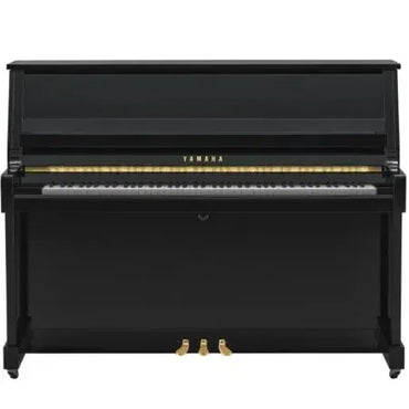Yamaha B20 PE