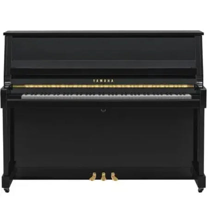 Yamaha B20 PE