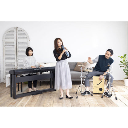 Roland AE-01 Aerophone Mini