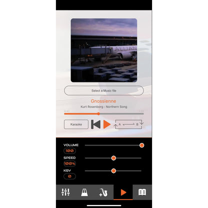 Roland AE-01 Aerophone Mini