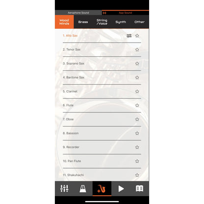 Roland AE-01 Aerophone Mini