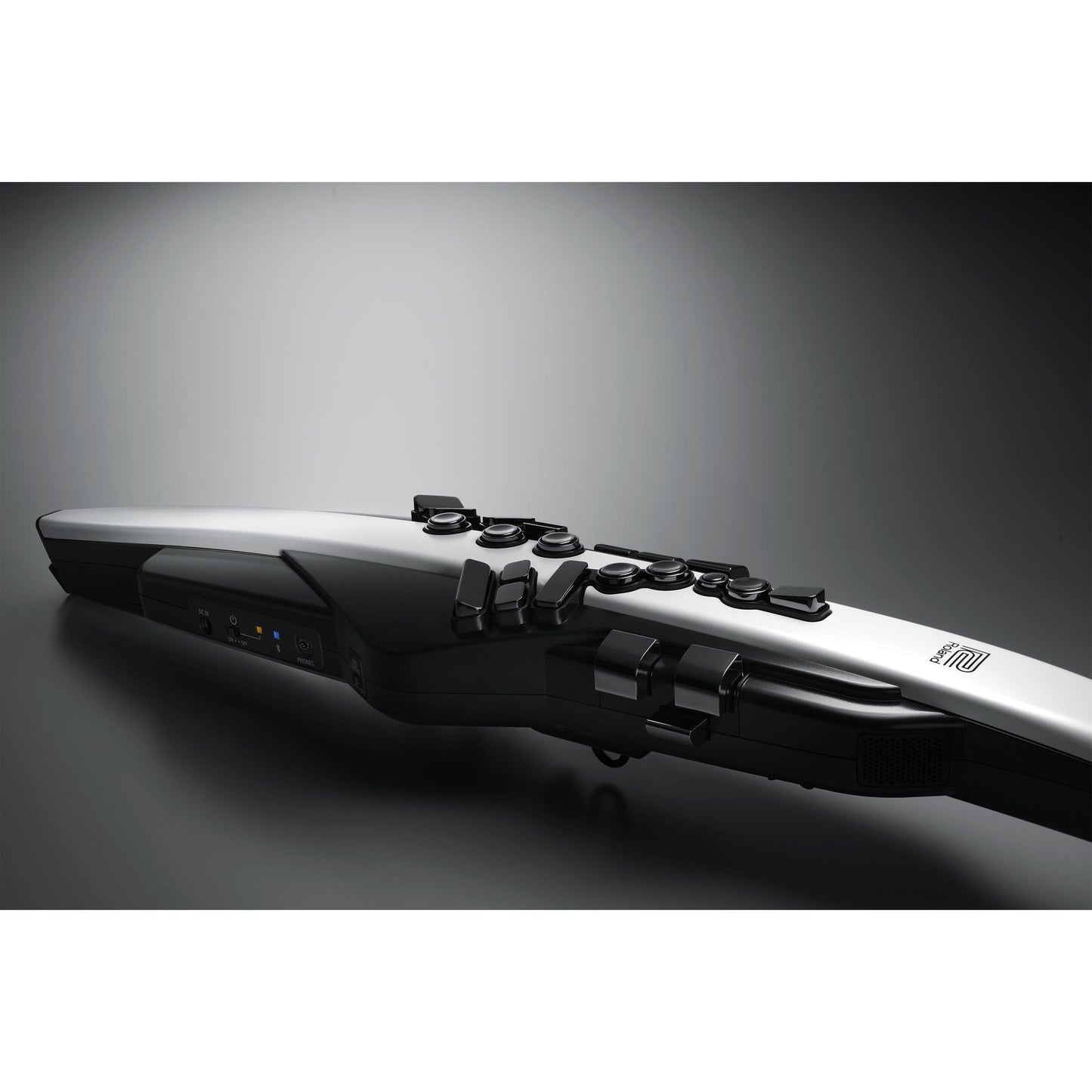 Roland AE-20 Aerophone Digitalt blæseinstrument