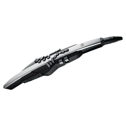 Roland Aerophone Pro AE-30