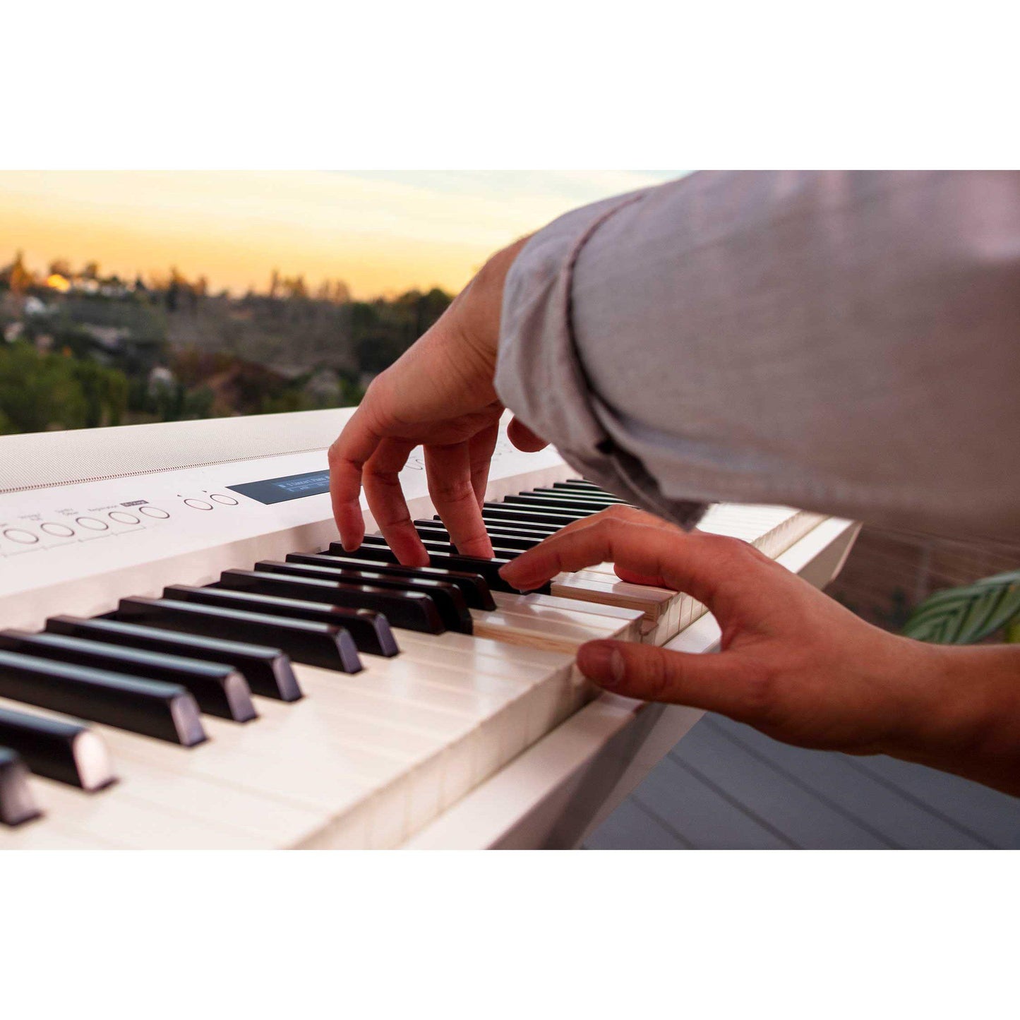 Roland FP-90X Digital piano