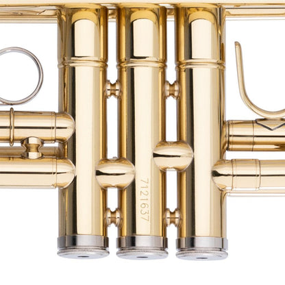 Stagg C Trumpet, Ml-Bore, Brass Body