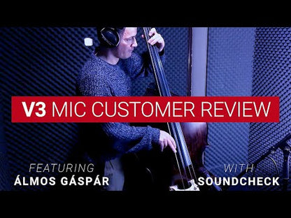 sE Electronics V3 Dynamic Microphone